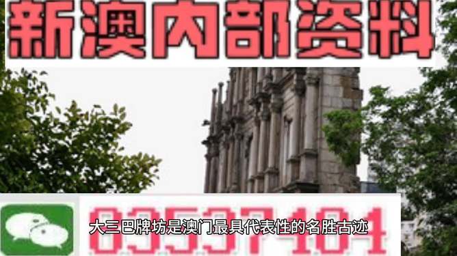 新澳门最精准免费资料大全，和平解答与落实的奥秘