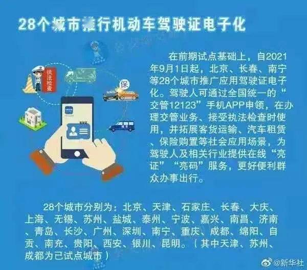 2025-2024全年正版资料免费资料大全，全面贯彻解释落实的指南