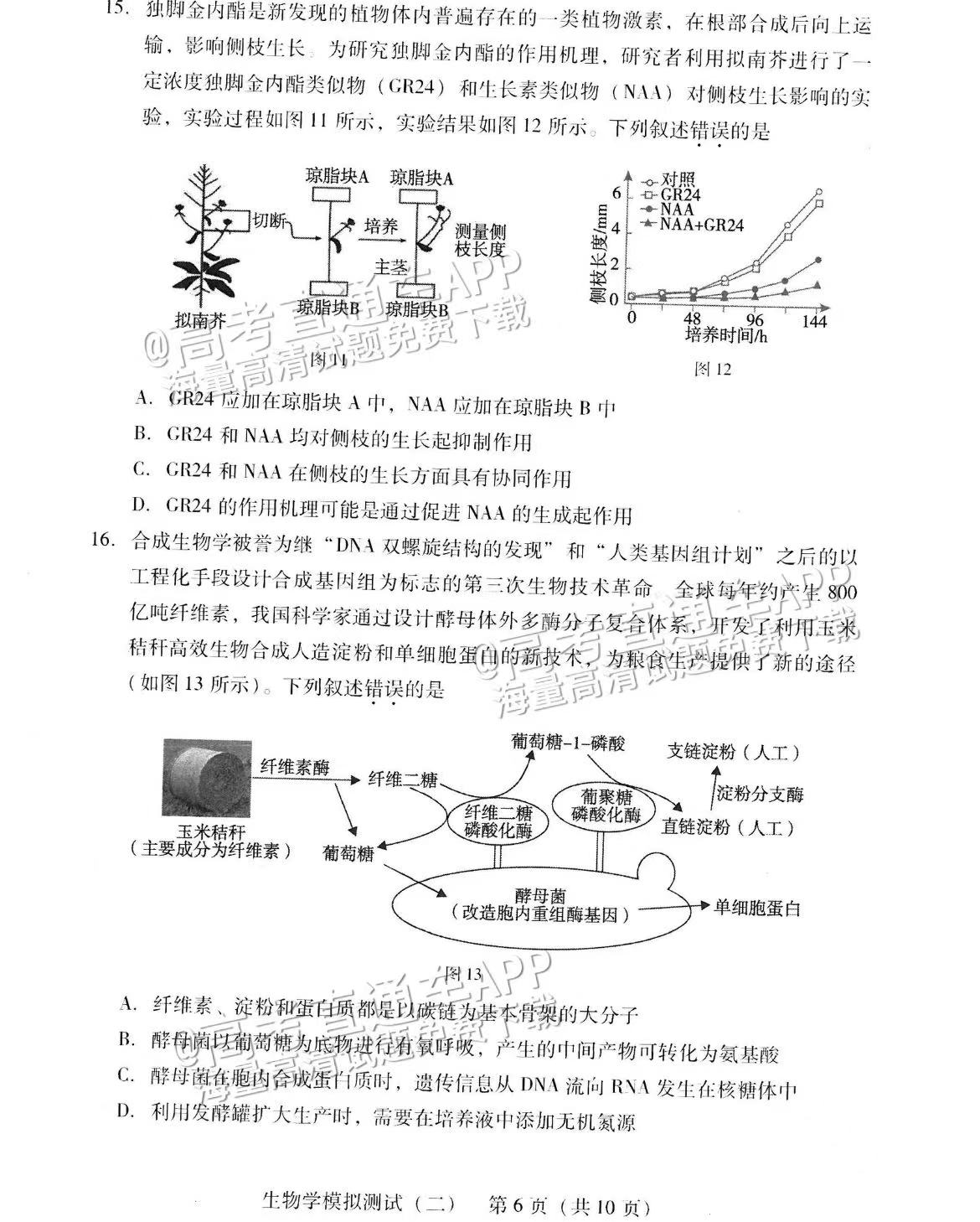 生物答案在广东省的启示，探索自然与科技的和谐共生