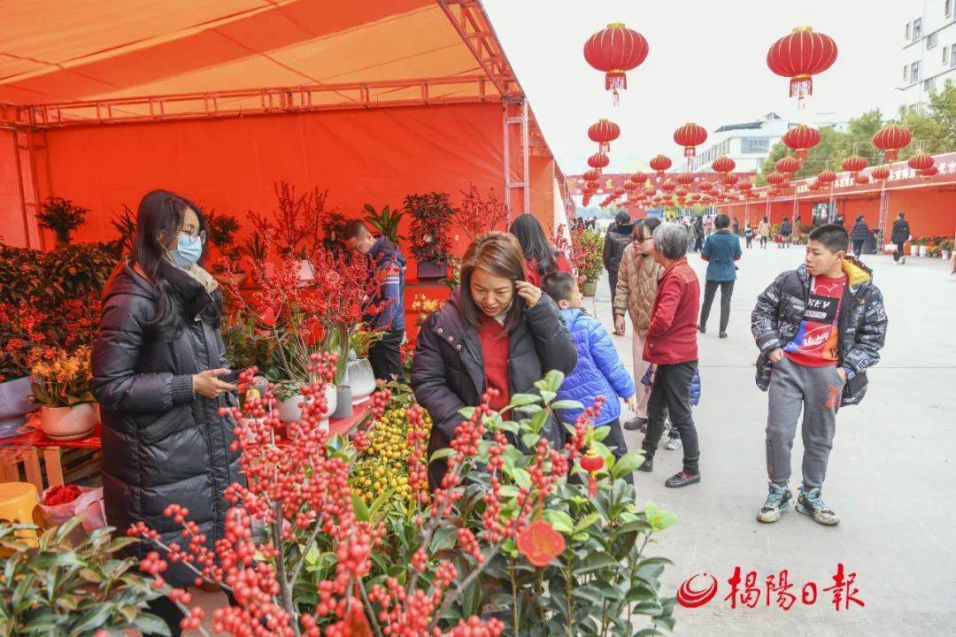 广东省揭阳市花市，繁花似锦的春节文化盛宴