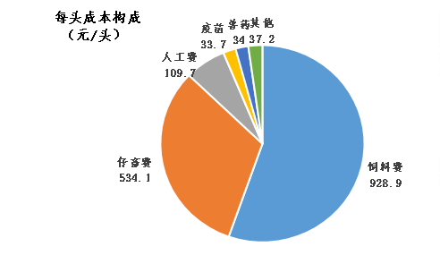 广东义齿有限公司环境分析